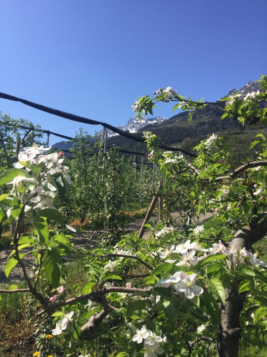 Außenansicht Hotel Residence Ruster Resort