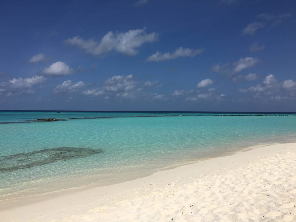Strand Summer Island Maldives