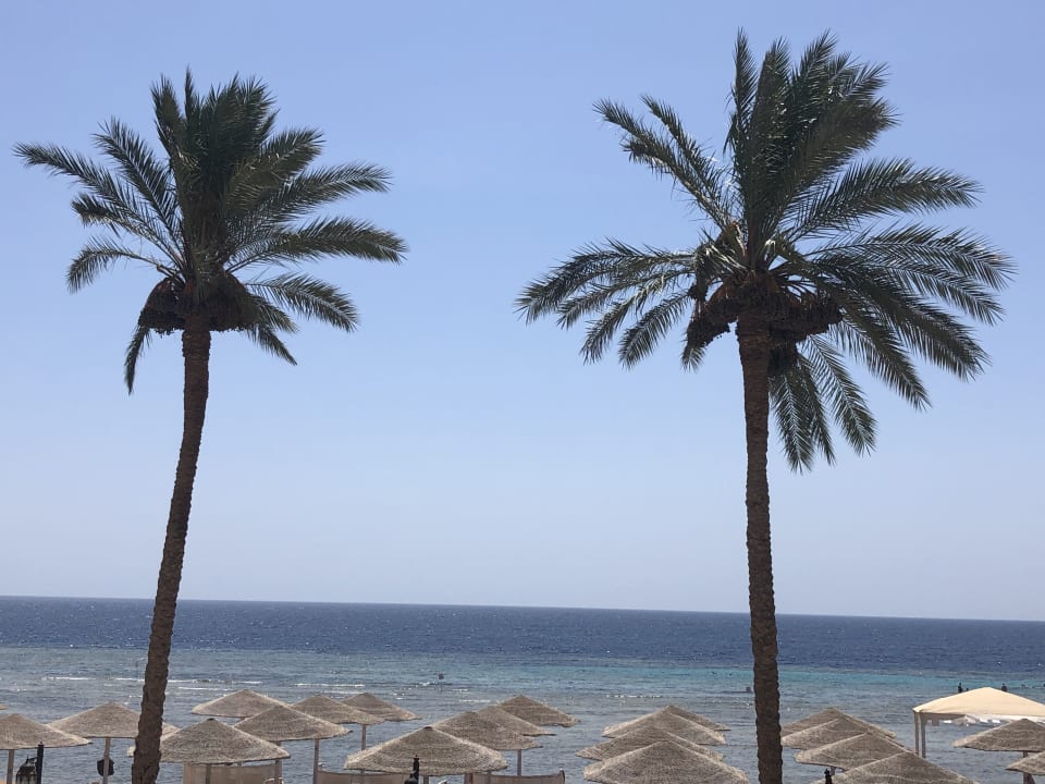 Strand Makadi Spa - Adults only