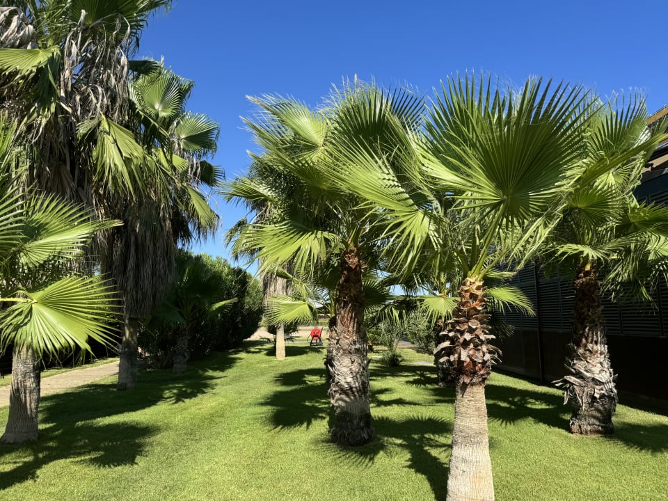 Gartenanlage Xanadu Resort Hotel