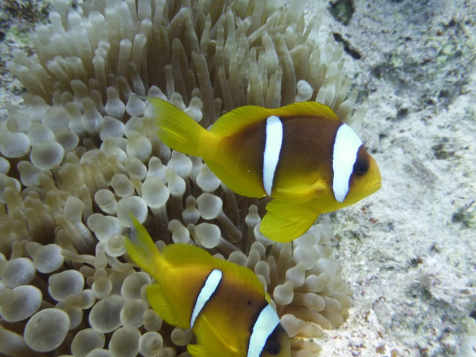 Strand Casa Mare Resort