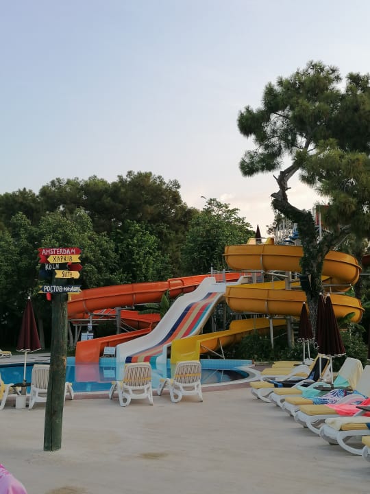 Pool Club Boran Mare Beach