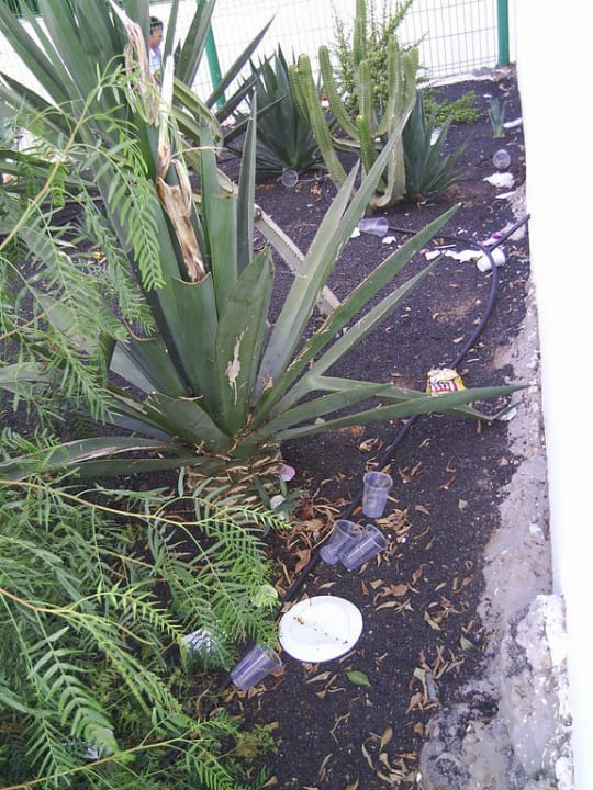 Nicht immer war alles perfeckt. Sentido Aequora Lanzarote Suite