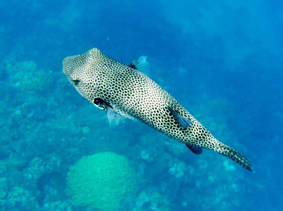 Sport & Freizeit Coral Hills Resorts & SPA