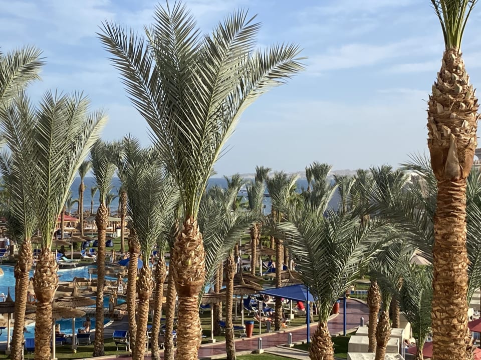 Außenansicht Pickalbatros Palace Resort