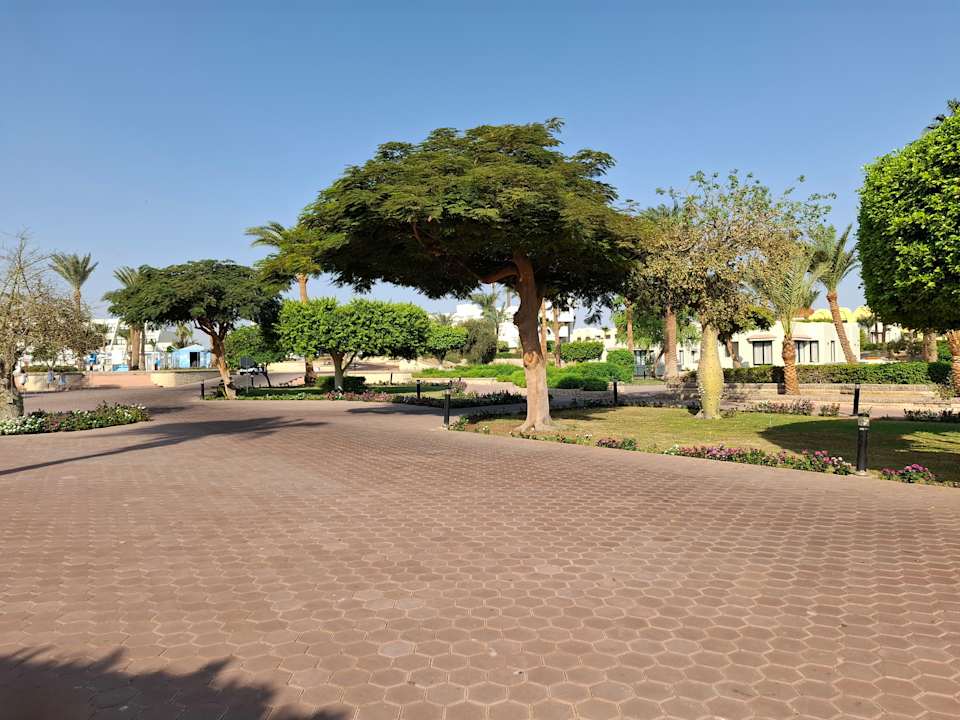 Gartenanlage Pharaoh Azur Resort