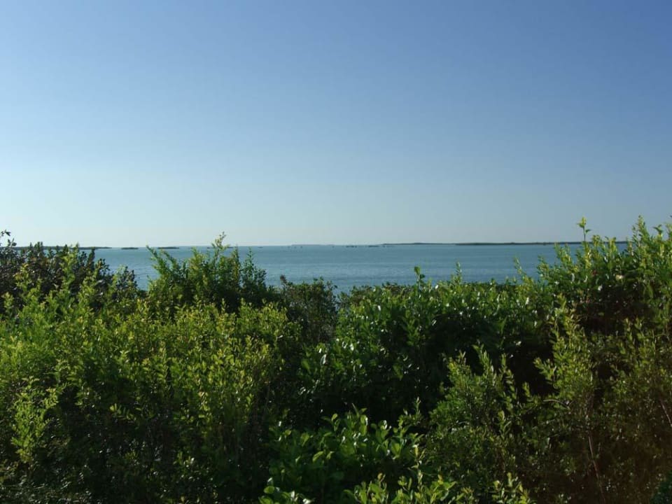 Ausblick von unserem Balkon Hotel Hilton Key Largo Grande Resort