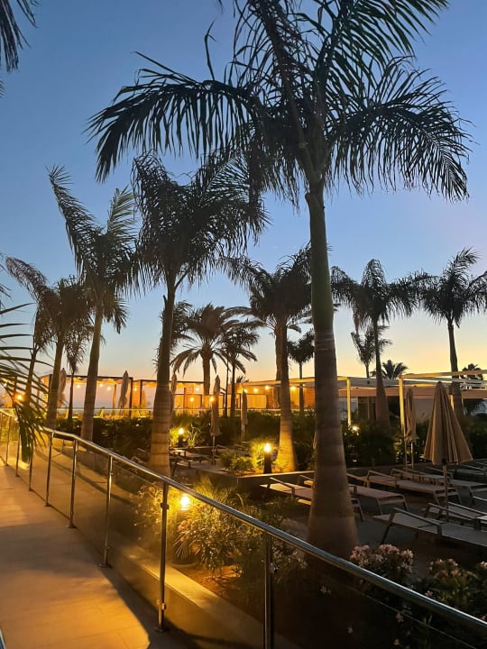 Gartenanlage Hotel Riu Palace Maspalomas Adults Only