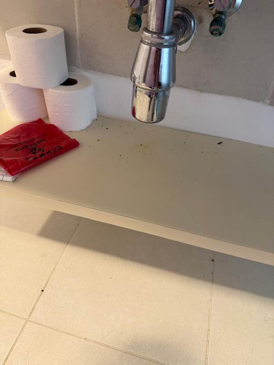 Zimmer Monachus Family Resort Sorgun