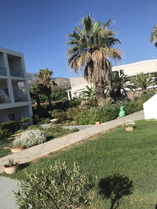 Garten Delfina Tropic Beach