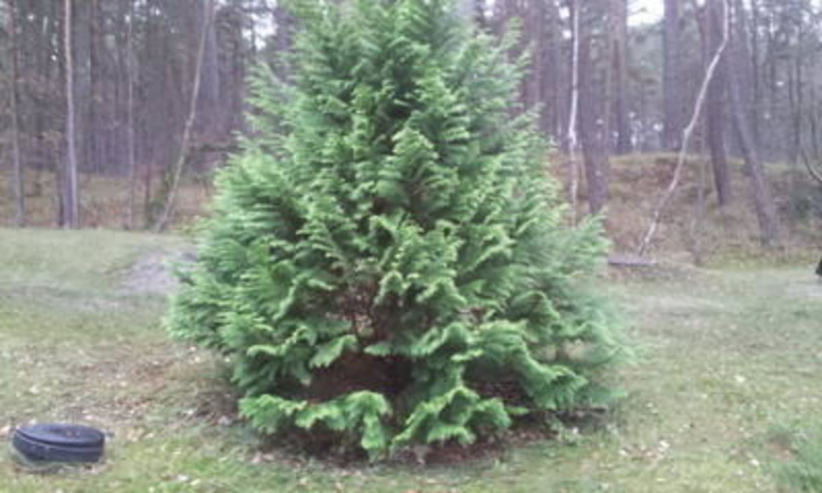 Hotel Orle Hotel Orle, Centrum Hotelowo - Konferencyjne