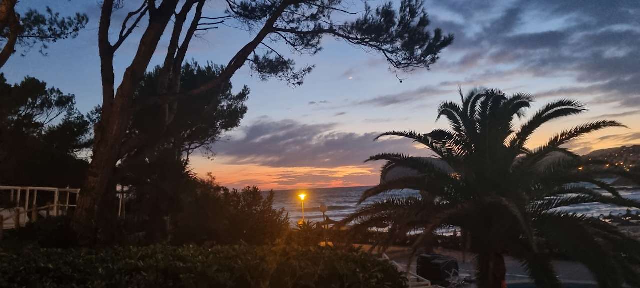 Gartenanlage Hotel Vibra Beverly Playa