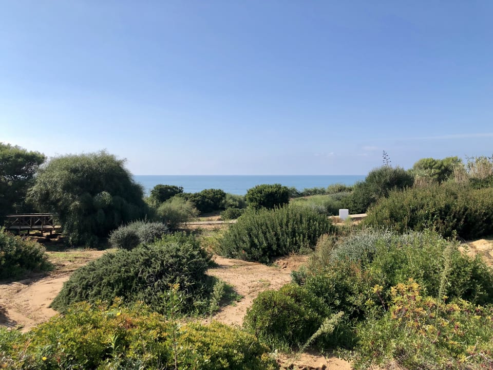 Ausblick Hipotels Gran Conil Hotel