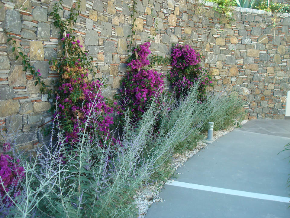 Gartenanlage Rodos Princess Beach Hotel & Spa