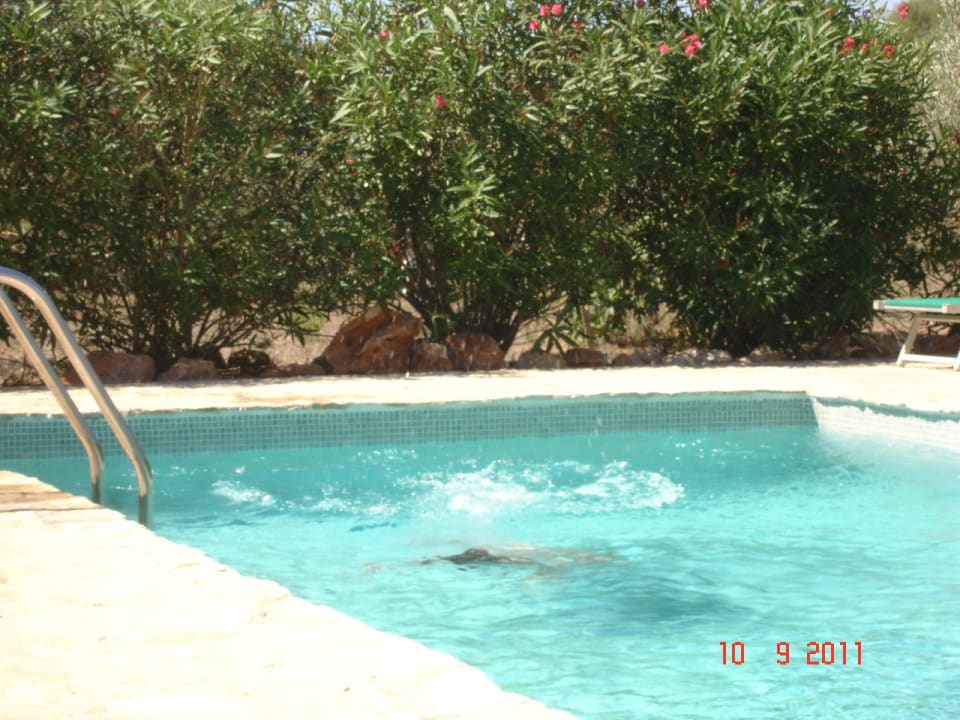 Pool Finca Can Pina