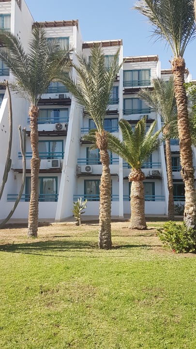 Garten Shams Safaga Resort