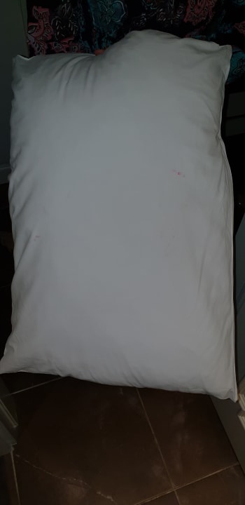 Zimmer Well Palace Side