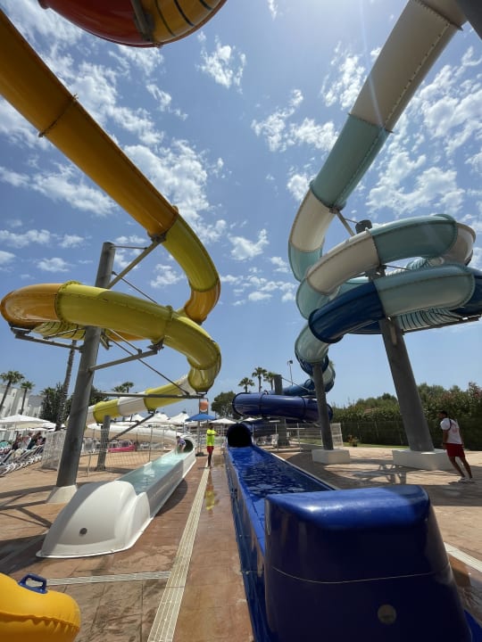 Sport & Freizeit Globales Bouganvilla