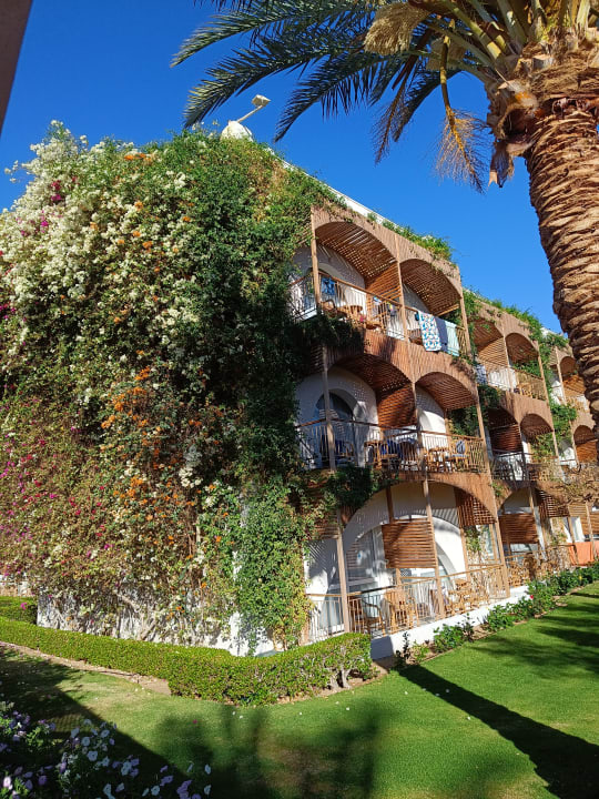 Außenansicht Desert Rose