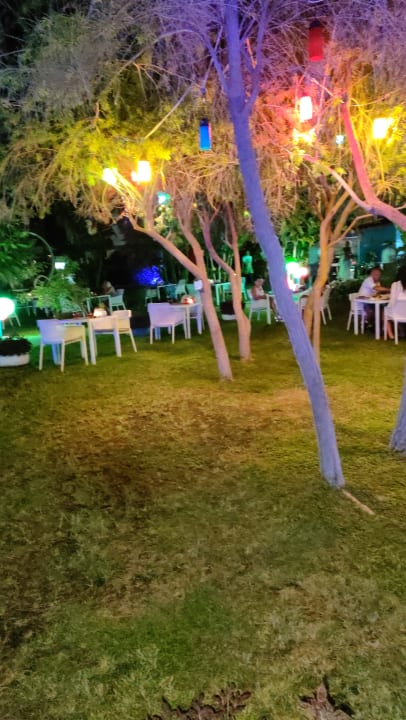 Gartenanlage VONRESORT Golden Coast