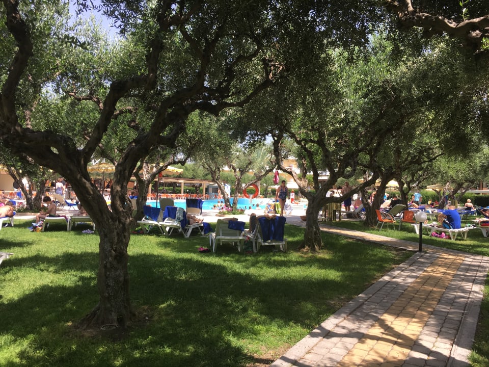 Pool TUI KIDS CLUB Alex Beach