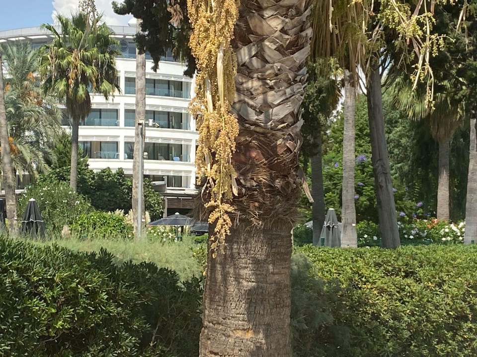 Außenansicht TUI BLUE Grand Azur