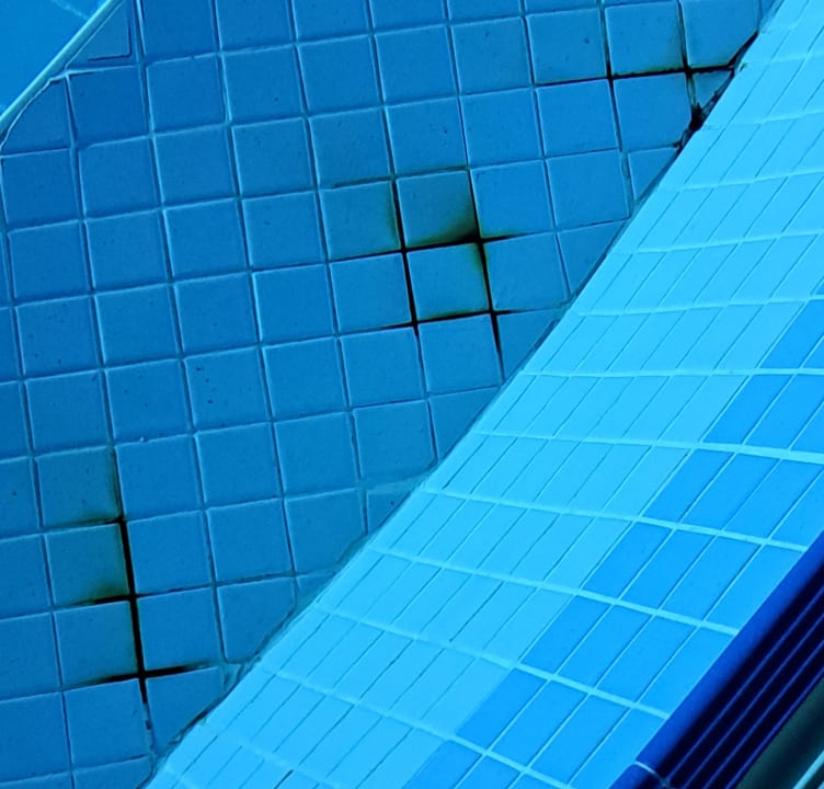 Pool Papillon Ayscha