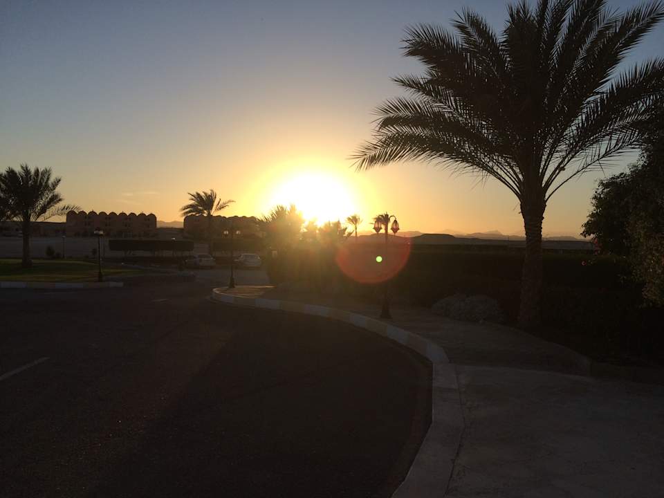 Garten Three Corners Sea Beach Resort