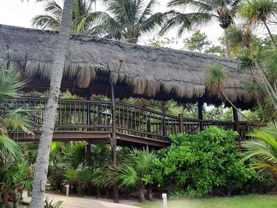 Gartenanlage Akumal Bay Beach & Wellness Resort