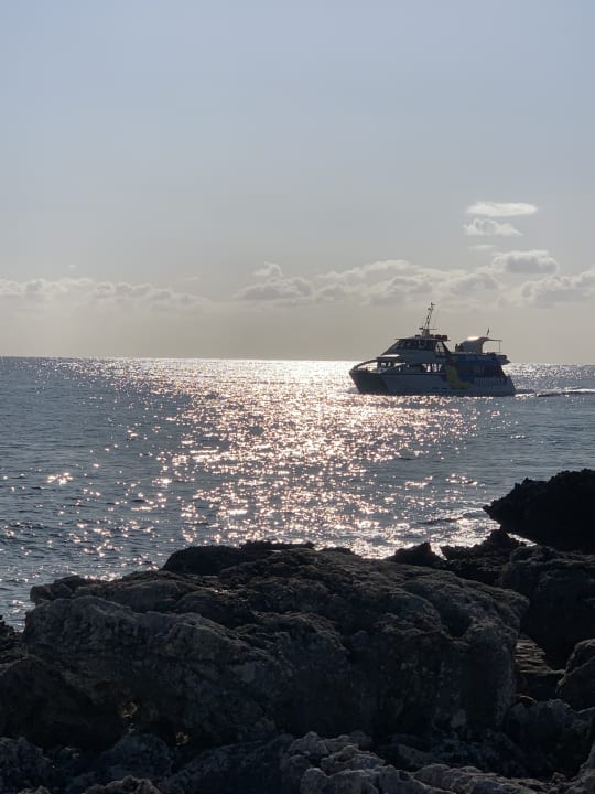 Ausblick Hipotels Mediterraneo