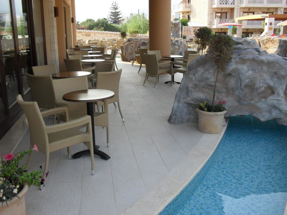 Hauptbar Cactus Royal