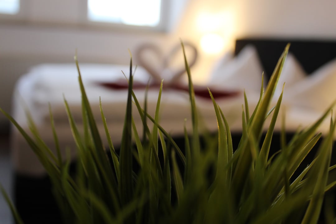 Zimmer Hof von Oldenburg