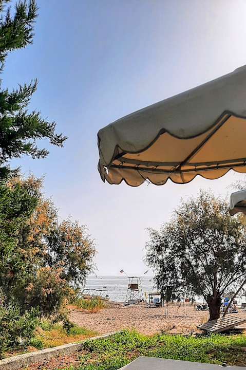 Gartenanlage Hotel Calypso Beach