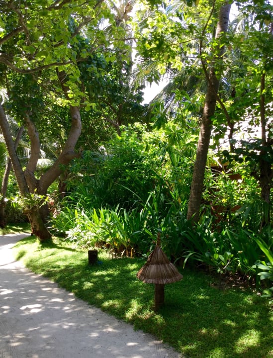 Gepflegte Gartenanlage Veligandu Maldives Resort Island