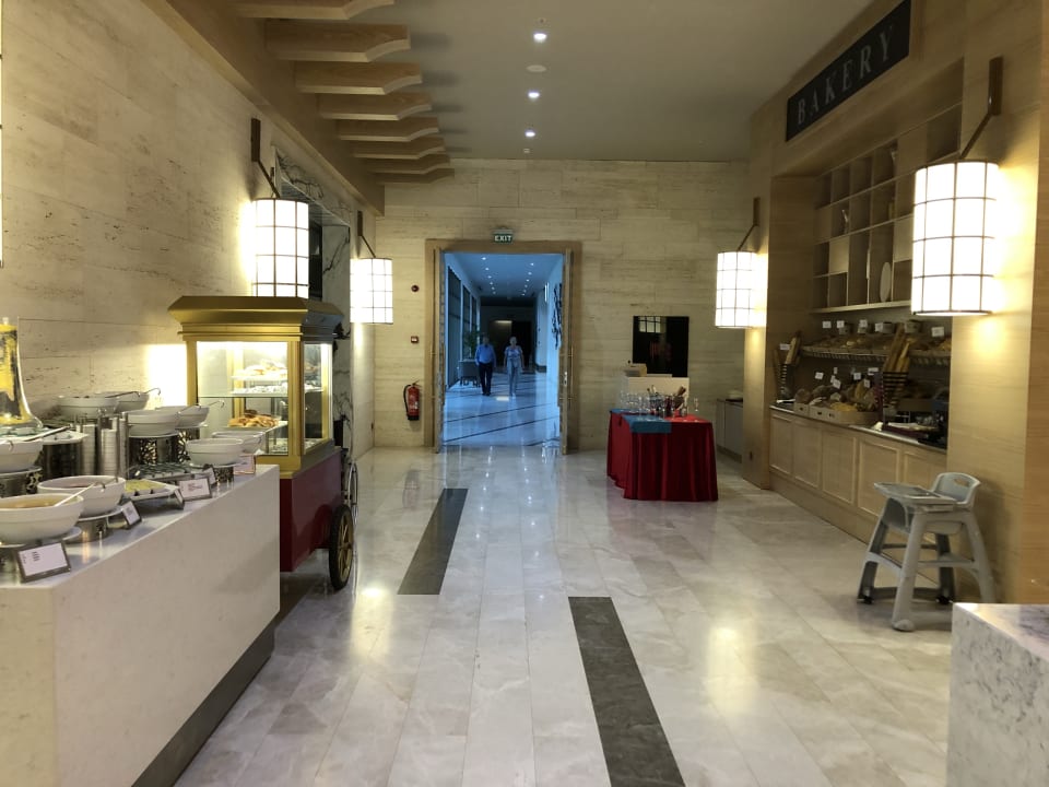 Gastro Acanthus Cennet Barut Collection