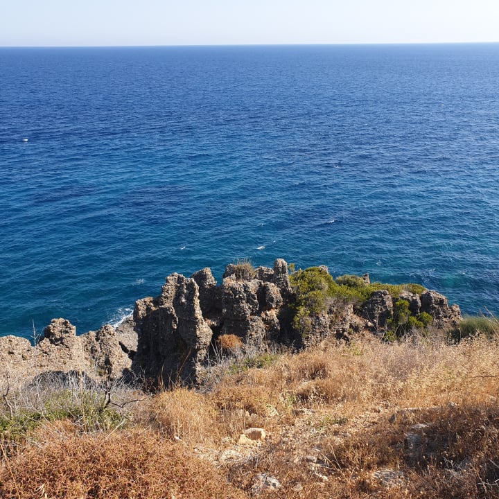 Ausblick Hotel Gardenia Beach