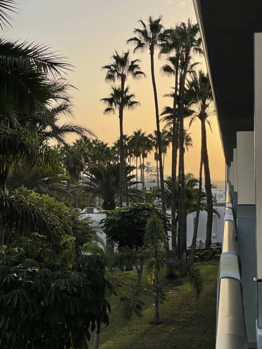 Ausblick Hotel Riu Palace Oasis