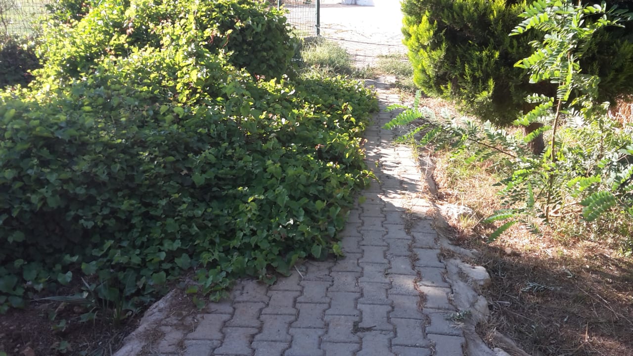 Weg zur Sportanlage Teos Village