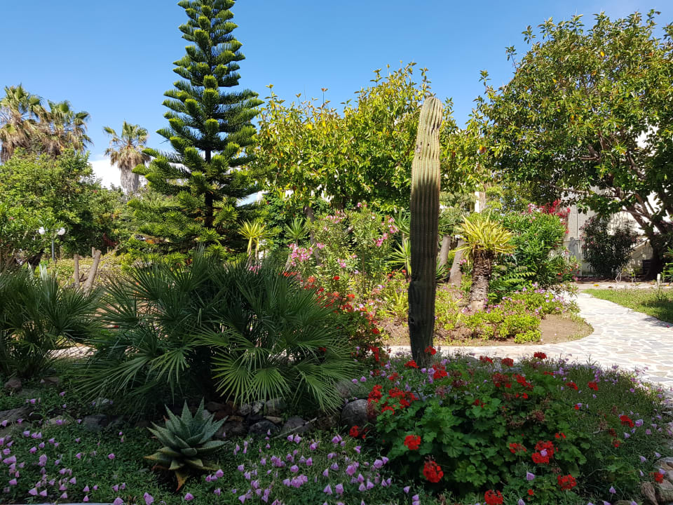 Gartenanlage Apollon Hotel