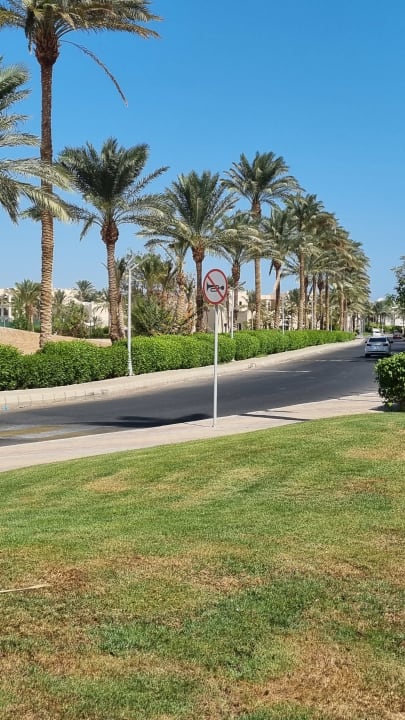 Ausblick JAZ Neo Saraya Palms