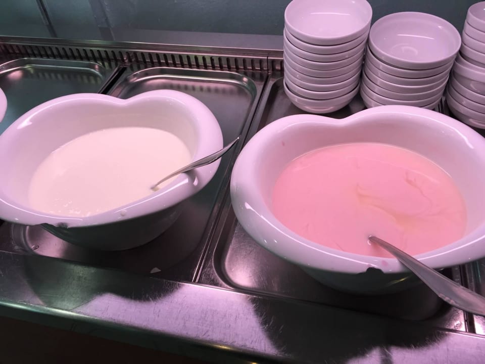 Geschirr kaputt  Narcis Hotel