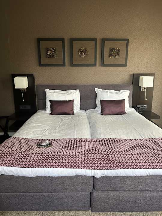 Zimmer Hotel Thermen Bussloo