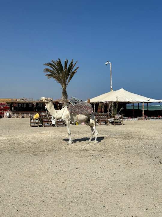 Sonstiges Pickalbatros Villaggio Resort - Portofino