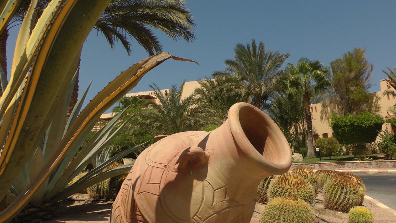 Bild Steigenberger Coraya Beach - Adults only