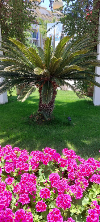Außenansicht Barut B Suites