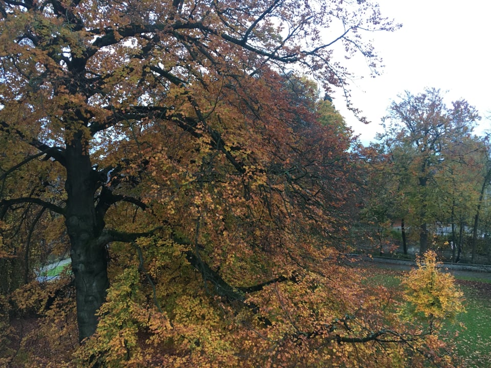Ausblick Steigenberger Inselhotel