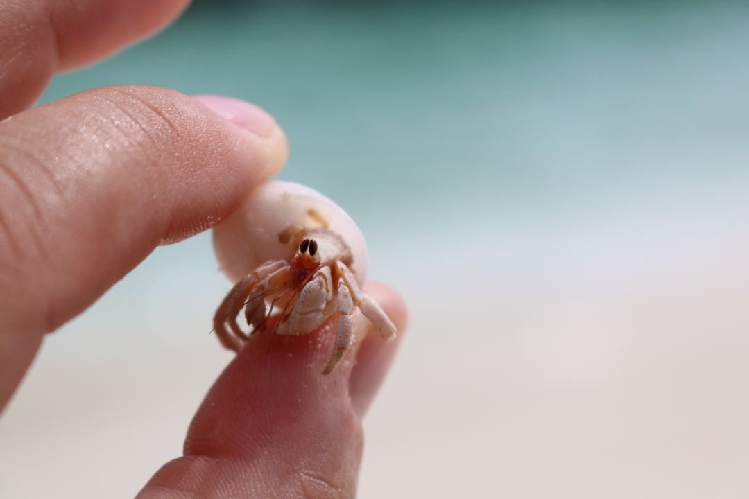 Strand Kuredu Island Resort & Spa