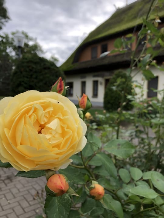 Außenansicht Residenz am Ostufer