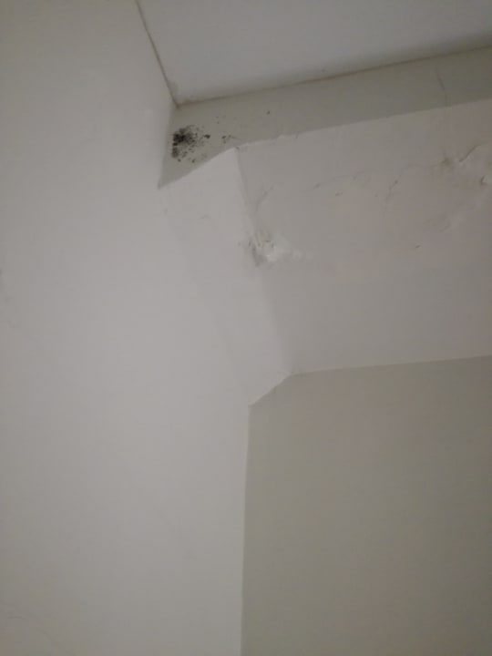 Zimmer New York's Hotel Pennsylvania