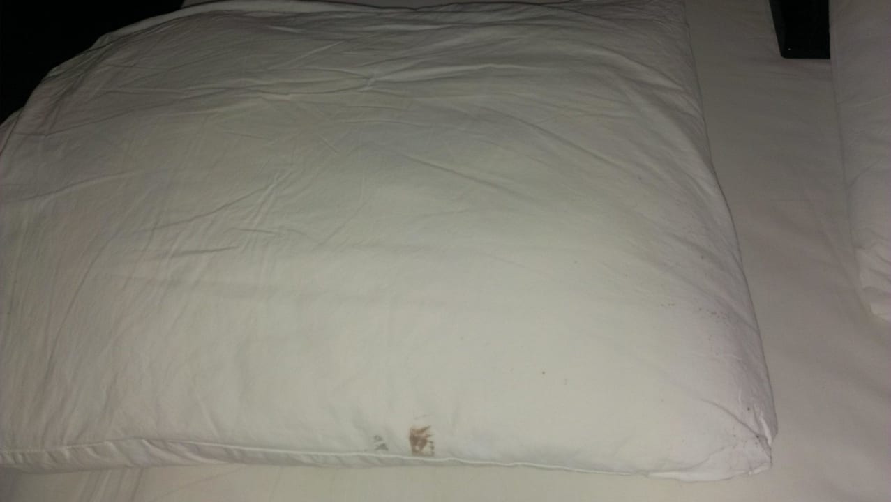 Frisch bezogen! Hotel Kleopatra Royal Palm